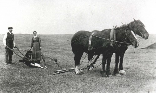 b5.jpg