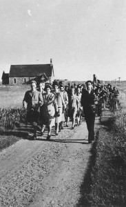 c196.jpg