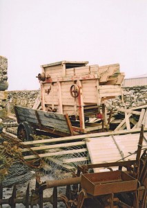 d39.jpg