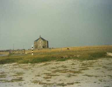 e194.jpg