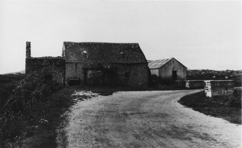 f24.jpg