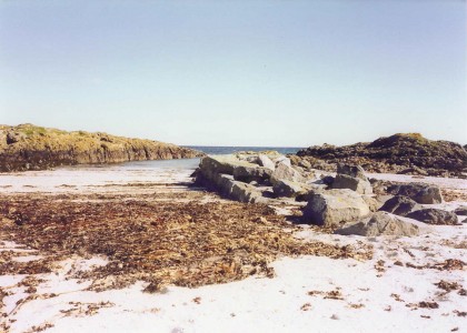 g184.jpg