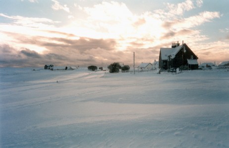 n84.jpg