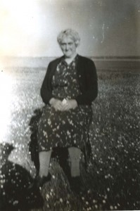 s68.jpg