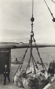t113.jpg