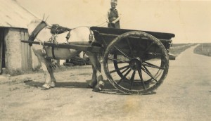 u17.jpg