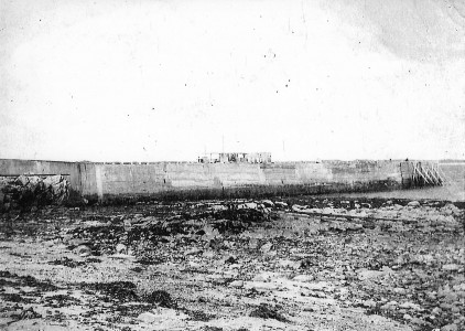 v41.jpg